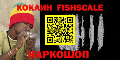 индика Усть-Джегута