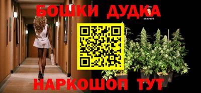 индика Усть-Джегута