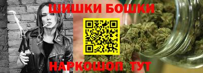 индика Усть-Джегута