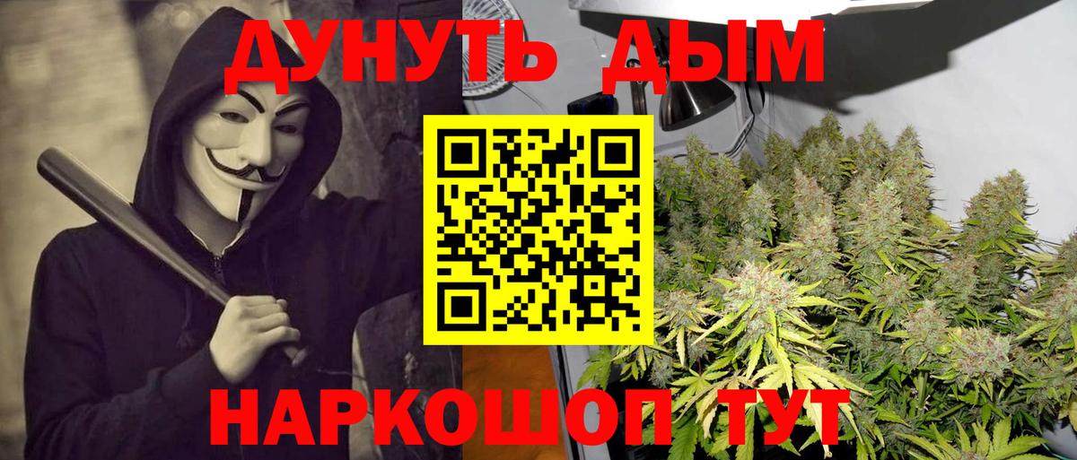Каннабис тримм  Конопля Ganja  МАРИХУАНА Amnesia  Благодарный  Вход с VPN 